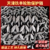 临工50保护链23.5-25